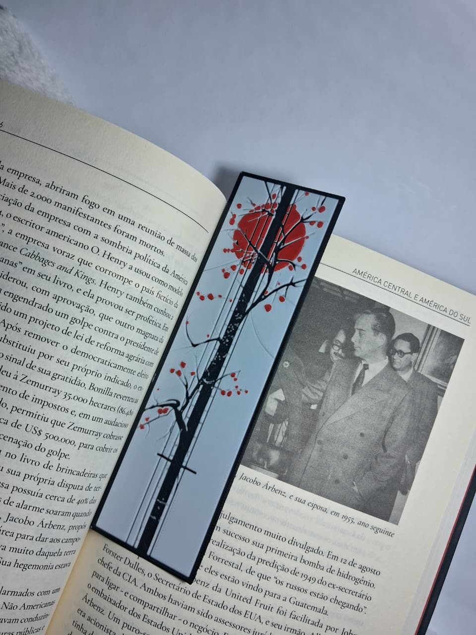 Ruas do Japão - Arvore - Imagem 5