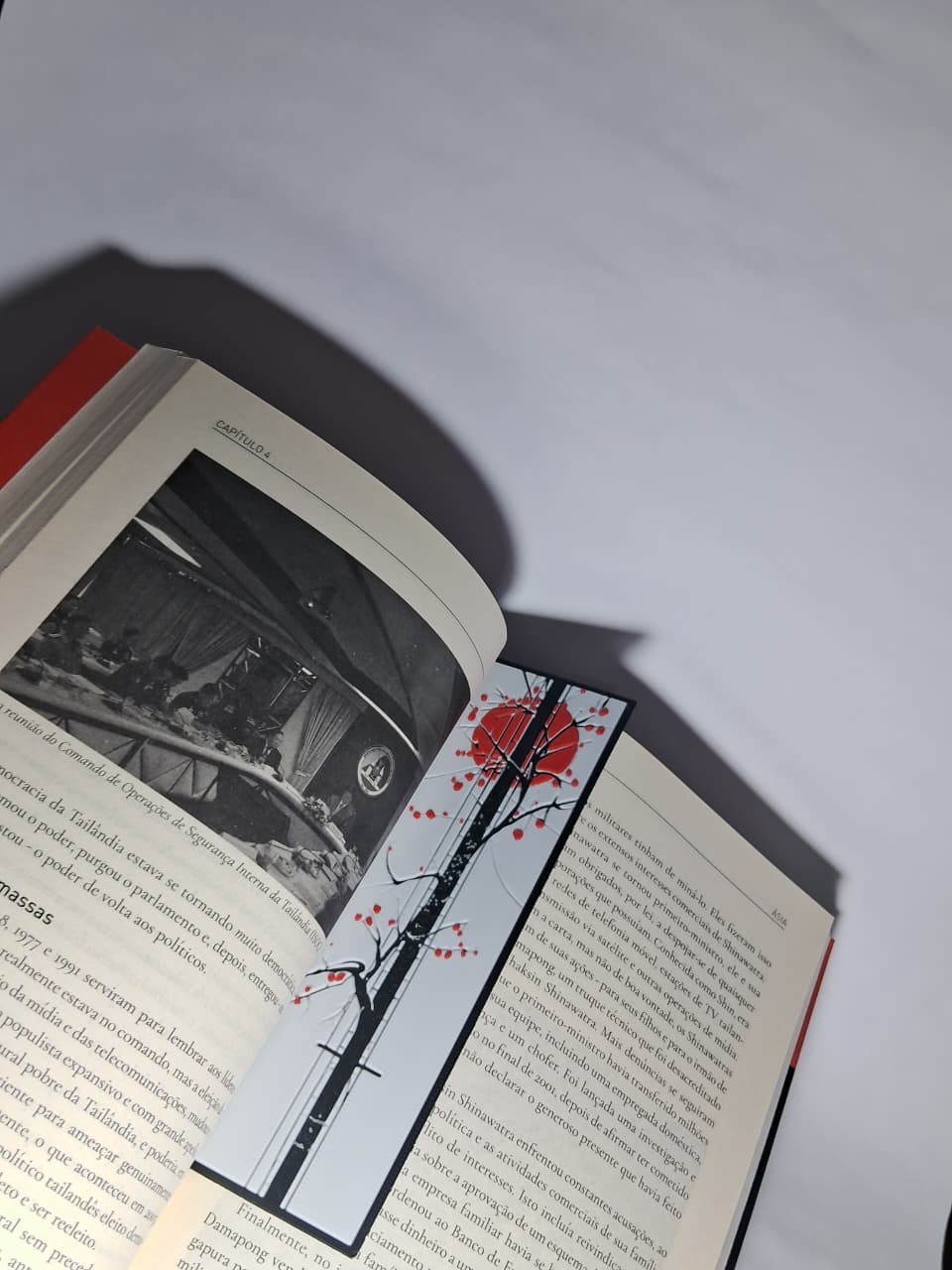 Ruas do Japão - Arvore - Imagem 4